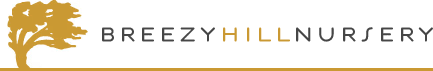 Breezy Hill logo