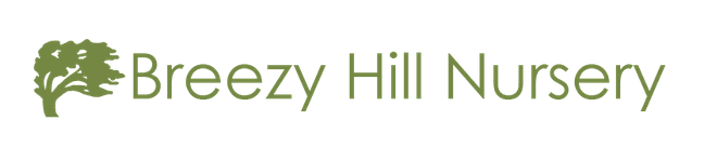 Breezy Hill logo