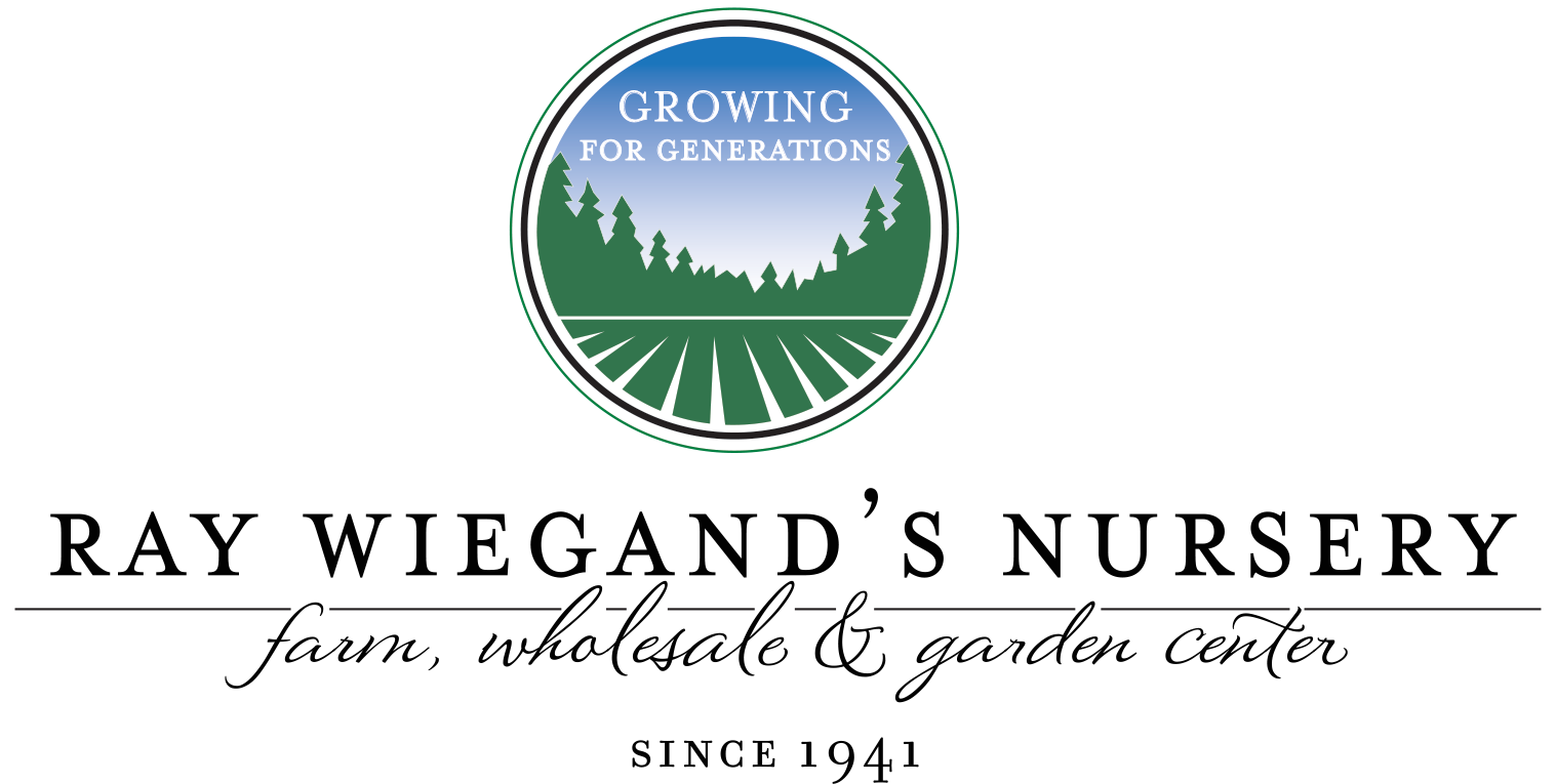 Ray Wiegands logo