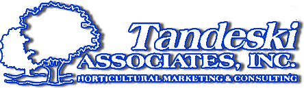 Tandeski logo