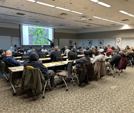 Pesticide class