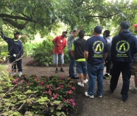 Diagnostic Tour